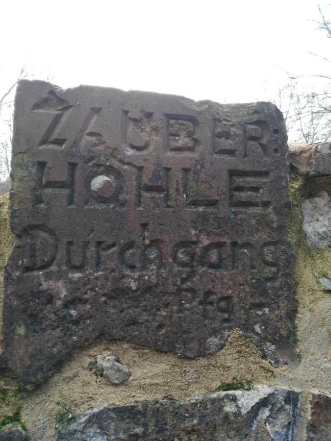 Ferienwohnung David Lorch am Rhein Eksteriør billede